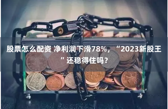 股票怎么配资 净利润下滑78%，“2023新股王”还稳得住吗？