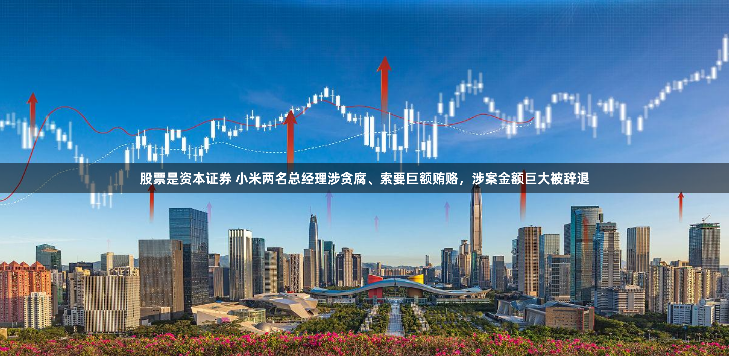 股票是资本证券 小米两名总经理涉贪腐、索要巨额贿赂，涉案金额巨大被辞退