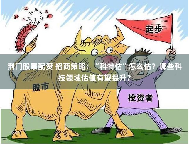荆门股票配资 招商策略：“科特估”怎么估？哪些科技领域估值有望提升？