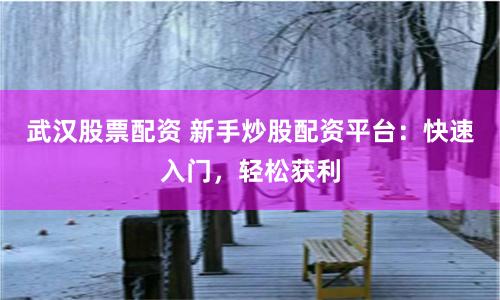 武汉股票配资 新手炒股配资平台：快速入门，轻松获利