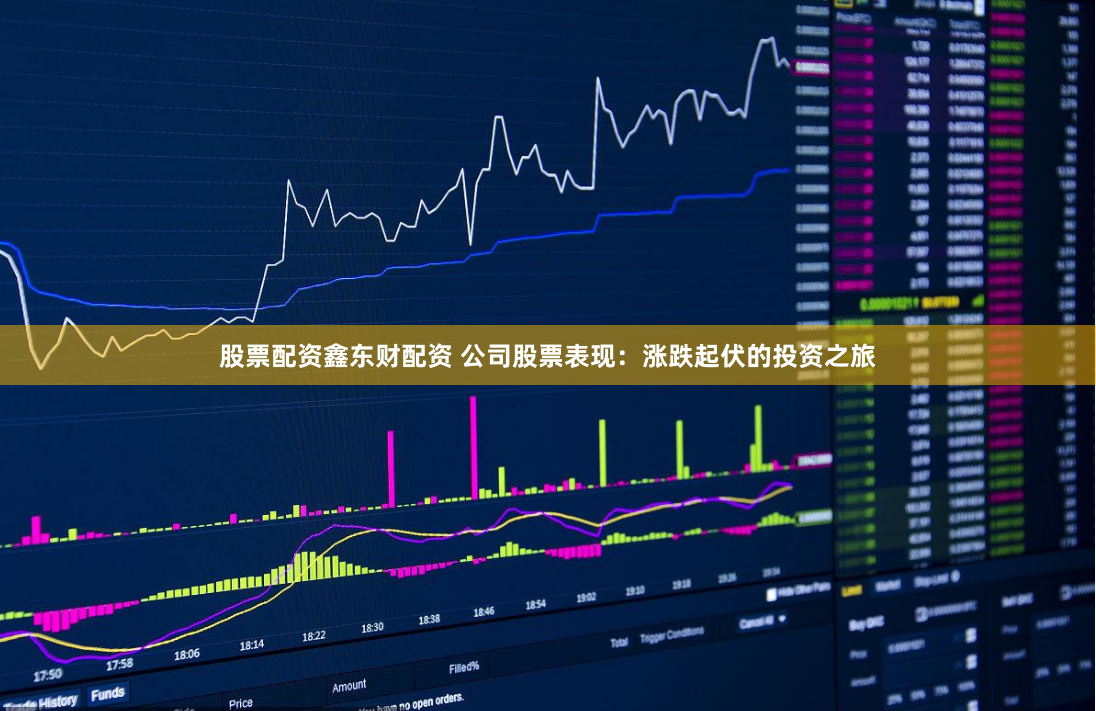 股票配资鑫东财配资 公司股票表现：涨跌起伏的投资之旅
