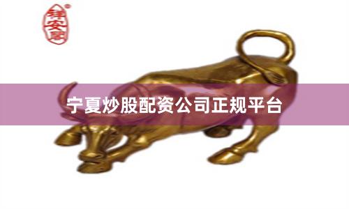 宁夏炒股配资公司正规平台